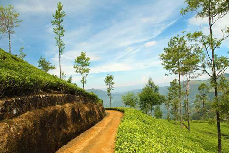 Book Popular Darjeeling Tour Packages from Aayush Holidays at Best Price, Best places to visit on a Darjeeling honeymoon trip, Best things to do on the Darjeeling honeymoon tour, darjeeling honeymoon package from kolkata, darjeeling honeymoon package from delhi, darjeeling honeymoon package price, darjeeling honeymoon package from patna, darjeeling honeymoon package make my trip, darjeeling honeymoon packages from chennai, darjeeling tour packages under 10,000, darjeeling honeymoon package from bangalore